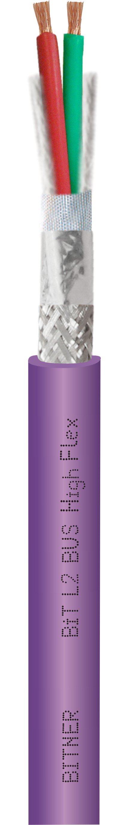 BiT L2 BUS High Flex